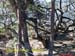 Natureza_0100