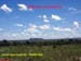 Natureza_0104
