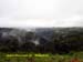 Natureza_0111