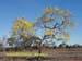 Natureza_0114