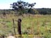 RioDaConceicao_0031