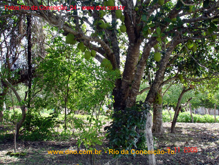 RioDaConceicao_0279