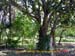 RioDaConceicao_0279