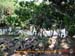 RioDaConceicao_0303