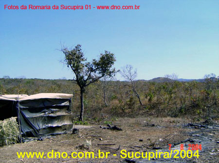 sucupira_2004_012