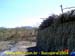 sucupira_2004_001