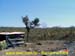 sucupira_2004_012