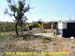 sucupira_2004_013