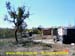 sucupira_2004_014