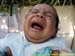 sucupira_2005_0056