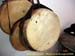 sucupira_2006_0018