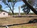 sucupira_2006_0041