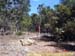 sucupira_2006_0042