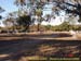 sucupira_2006_0067