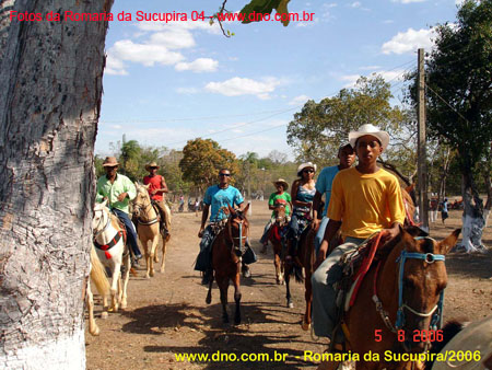 sucupira_2006_0130