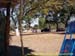 sucupira_2006_0117