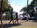sucupira_2006_0126