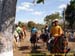 sucupira_2006_0130
