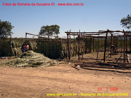sucupira_2006_0212