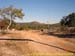 sucupira_2006_0206