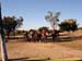 sucupira_2006_0233