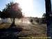 sucupira_2006_0236