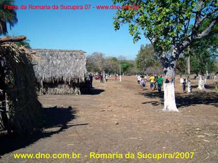 sucupira_2007_0084