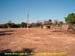 sucupira_2007_0002