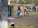 sucupira_2007_0101