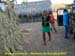 sucupira_2007_0108