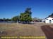 sucupira_2008_0036