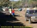 sucupira_2008_0155