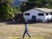 sucupira_2009_0011
