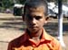 sucupira_2009_0121