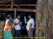 sucupira_2009_0128