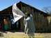 sucupira_2009_0130