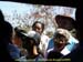 sucupira_2009_0138