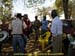 sucupira_2009_0218