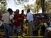 sucupira_2009_0219