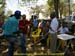 sucupira_2009_0221
