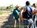 sucupira_2011_0039