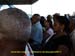 sucupira_2011_0062