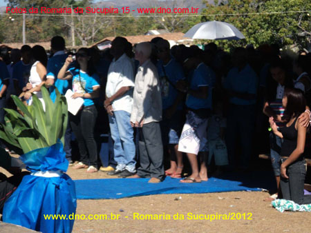 sucupira_2012_015