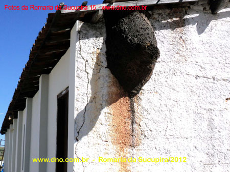 sucupira_2012_021
