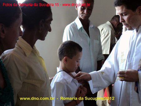 sucupira_2012_028
