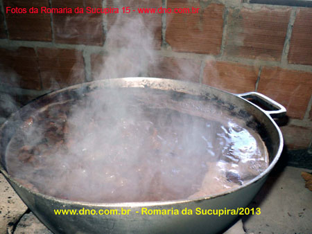 sucupira_2013_049
