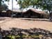sucupira_2012_047