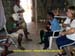 sucupira_2013_006
