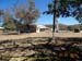 Sucupira_2015-07-31_011