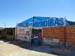 Sucupira_2015-07-31_019